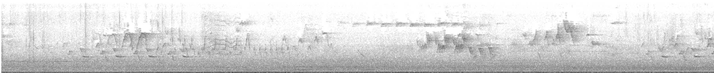 Черногорлая хвойница - ML245175001