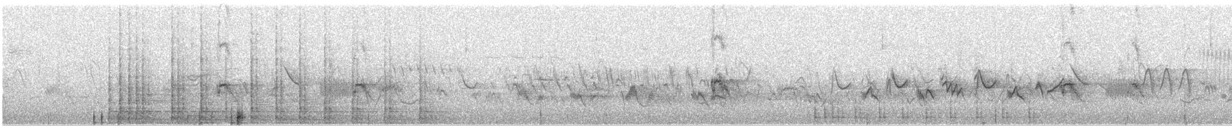Дятел-смоктун білочеревий - ML245188511