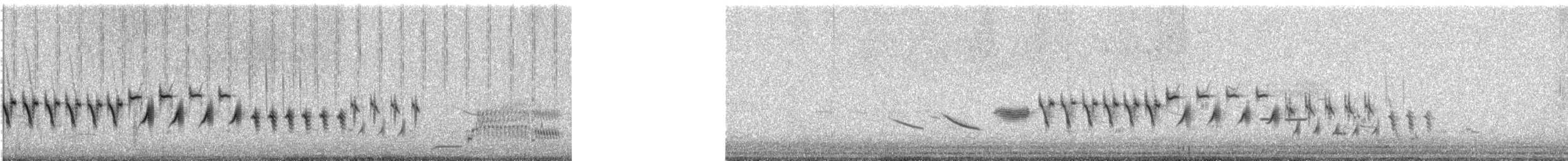オジロヒメドリ - ML245218991