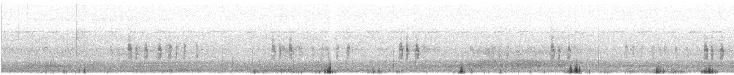 Antillennachtschwalbe - ML245219361