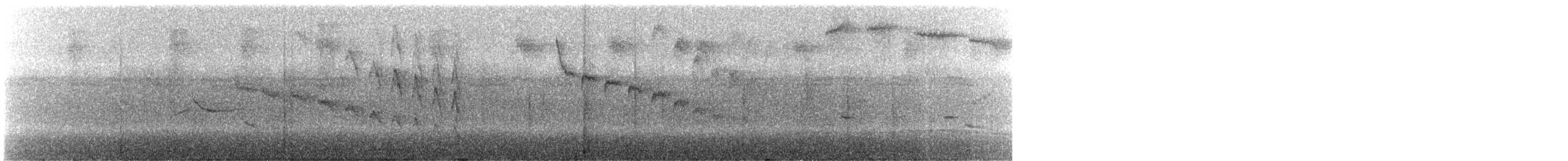 Düz Gagalı Hermit (bourcieri) - ML245220