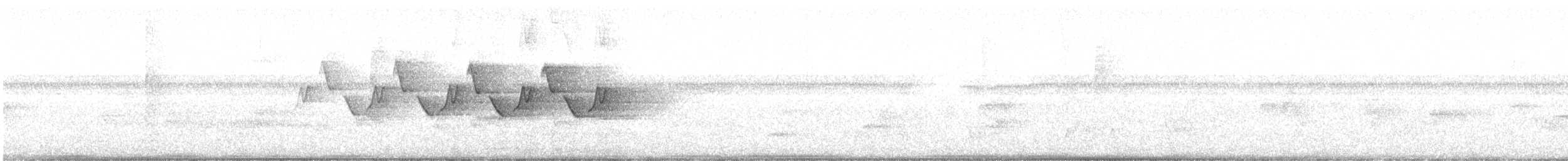 Common Yellowthroat - ML245228721