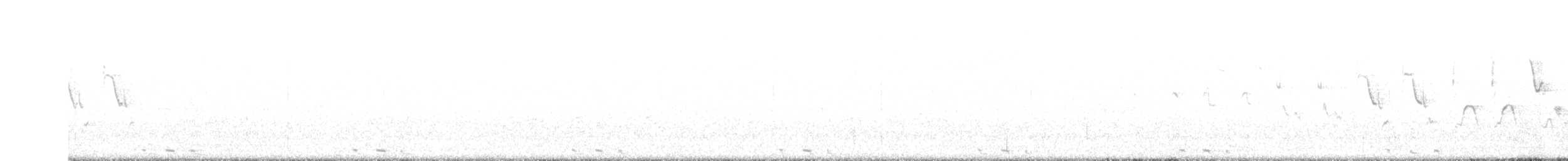 Black-billed Cuckoo - ML245230621