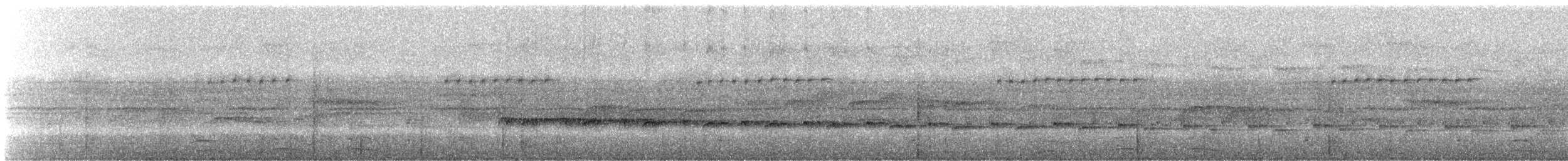 meiseltreløper (orenocensis gr.) - ML245232