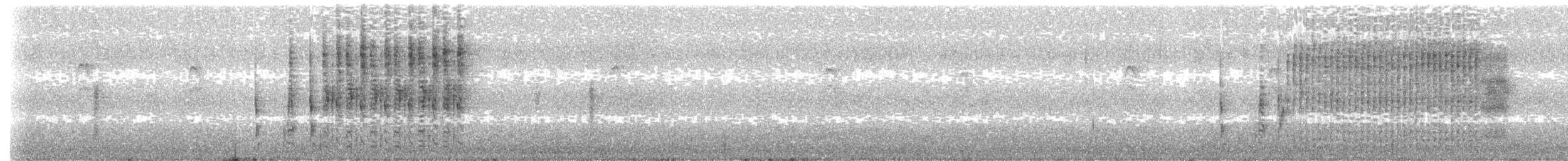 Troglodyte des marais - ML245232281