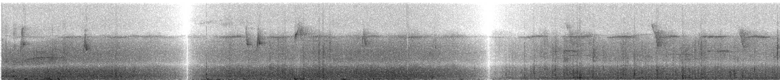 Прямоклювый колибри-отшельник (bourcieri) - ML245233
