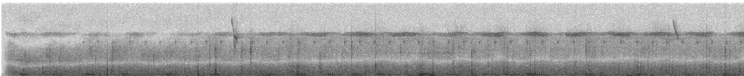 Ak Kuyruklu Sakallı Hermit - ML245234