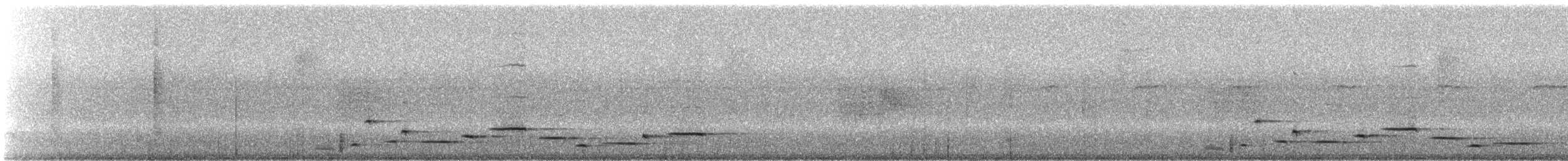 Тріскопліт рудолобий (підвид salvini) - ML245263