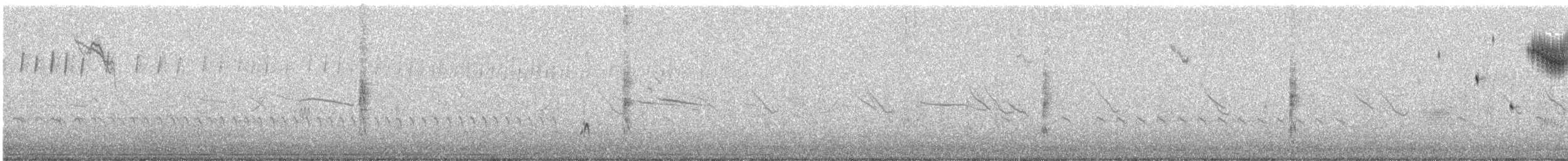 Bruant sauterelle - ML245263101