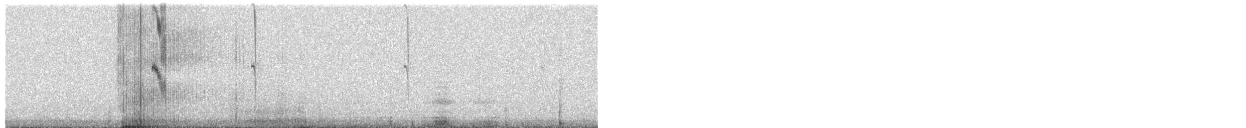 Колібрі-янгол біловусий - ML245264671
