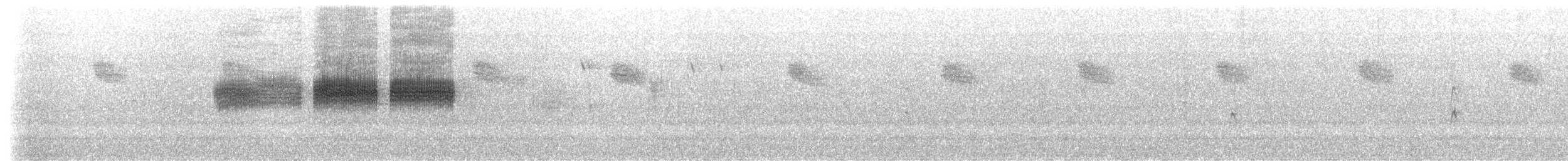 Clay-colored Sparrow - ML245288191