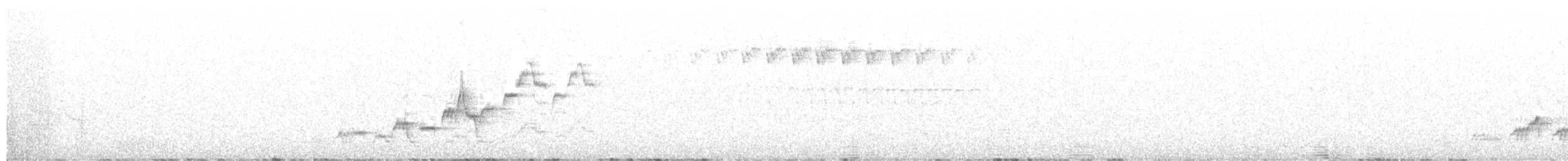 brunkinnskogtrost (swainsoni gr.) - ML245307541