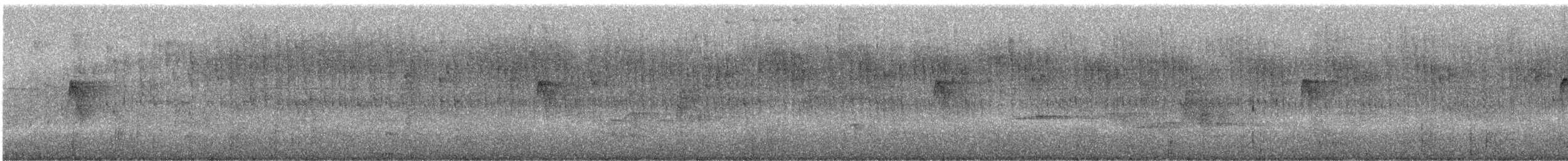 Queue-grise d'Équateur - ML245312