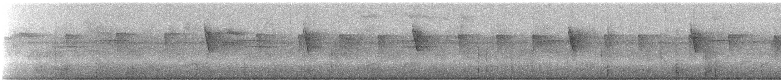 Большеклювый колибри-отшельник [группа moorei] - ML245333