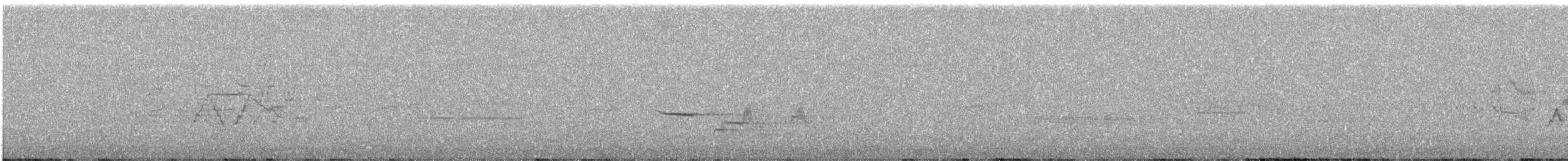 Дрізд-короткодзьоб малий - ML245334131