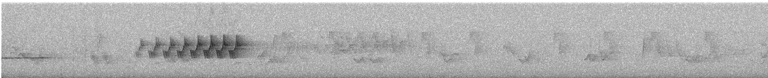 Черногорлая хвойница - ML245335001