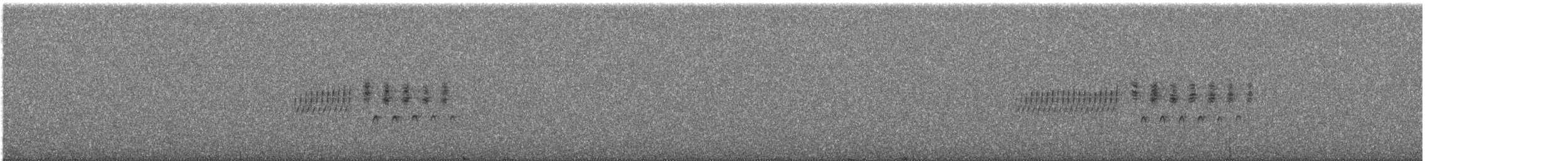 Серый юнко (cismontanus) - ML245335791
