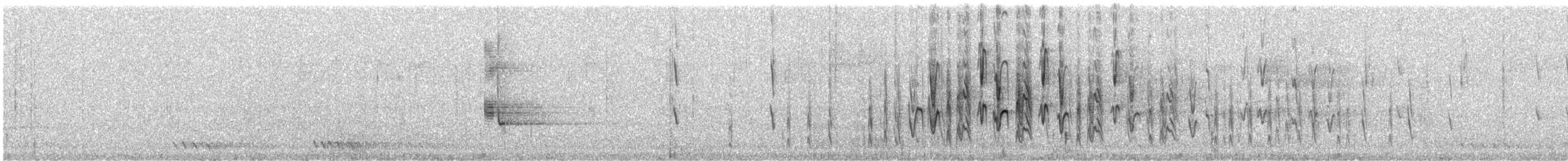 Méliphage à bec fort - ML245339151