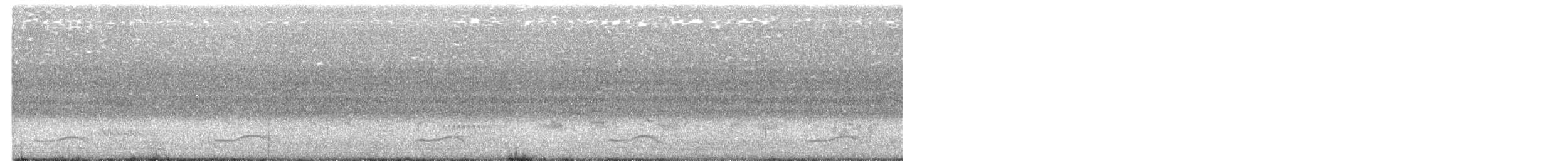 Asian Koel - ML245343201