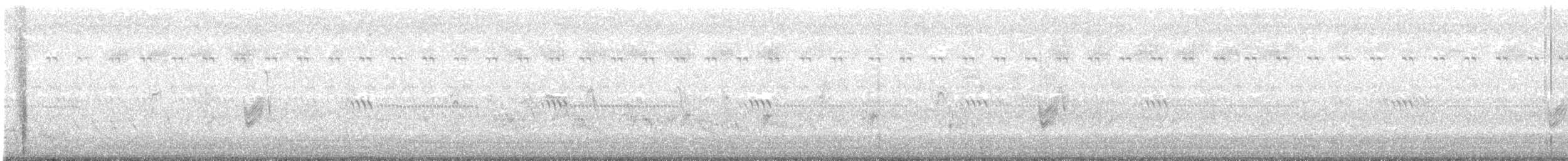 Chotacabras de Sabana - ML245343331