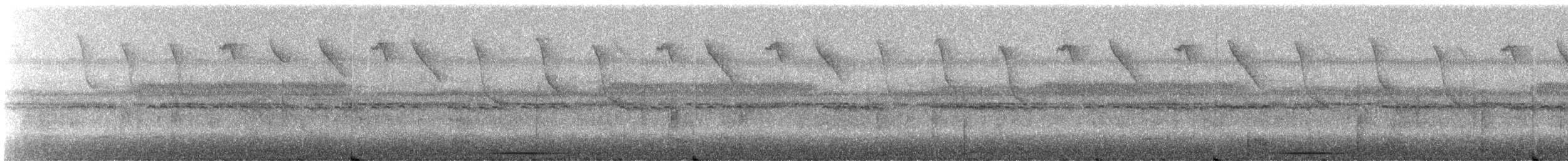 Серогорлый колибри-отшельник (griseogularis/zonura) - ML245355