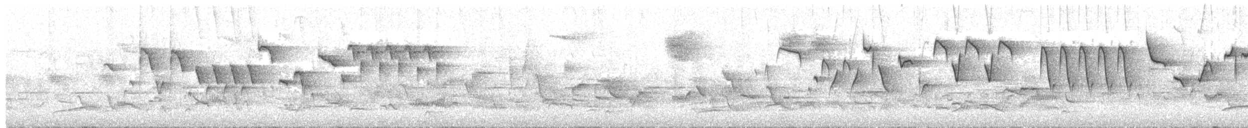 גדרון מובהק - ML245361601
