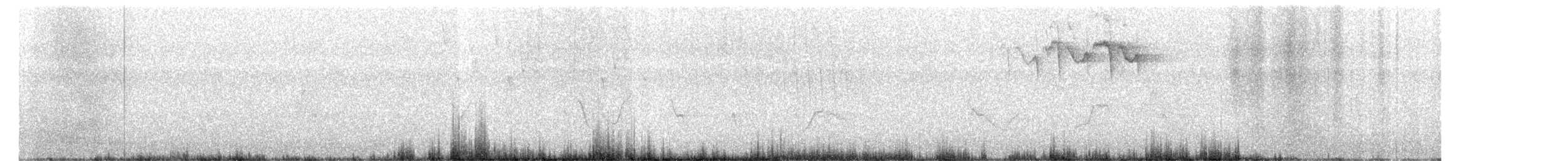 Bay-breasted Warbler - ML245362571