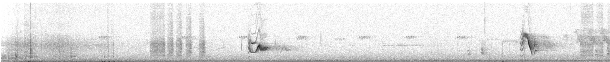 Plumbeous Vireo - ML245367531