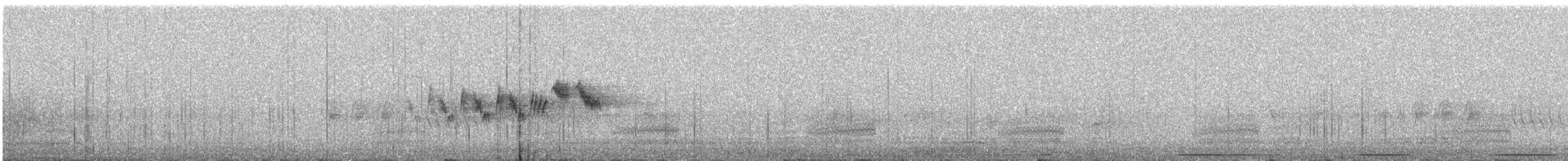Black-throated Gray Warbler - ML245367661