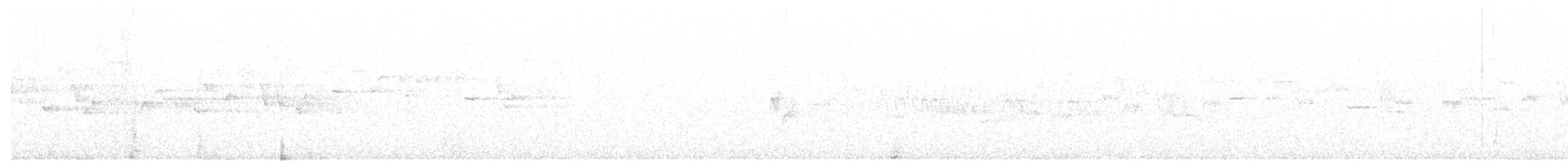 střízlík kanadský - ML24538121