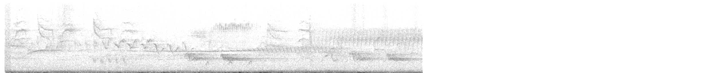 Голубокрылая червеедка - ML245387721