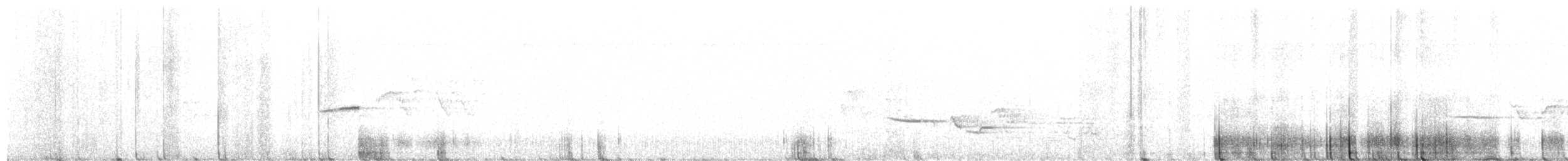 Дрізд-короткодзьоб плямистоволий - ML245393131