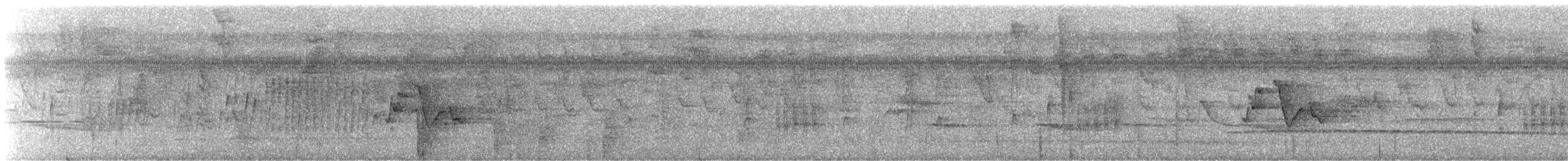 Віреончик білочеревий (підвид minor) - ML245400
