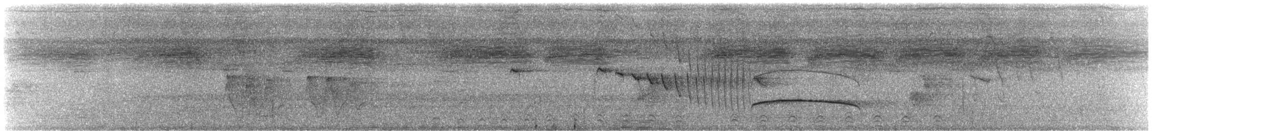 rybařík trpasličí - ML245450