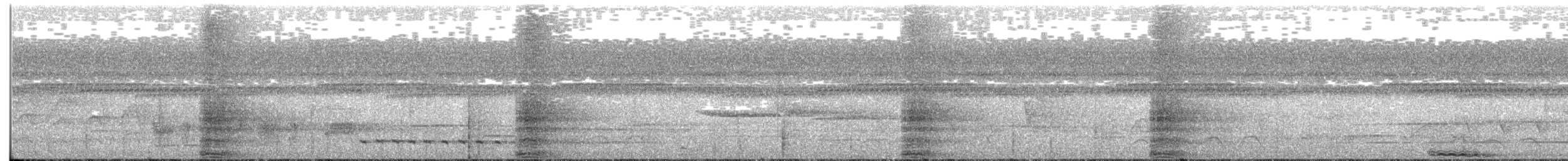 Bornean Ground-Cuckoo - ML245452521