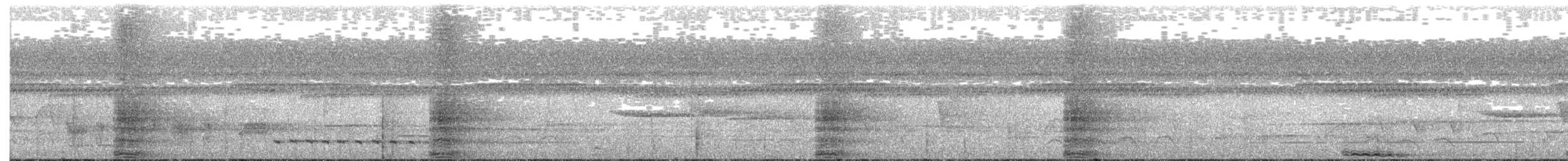 Bornean Ground-Cuckoo - ML245452531