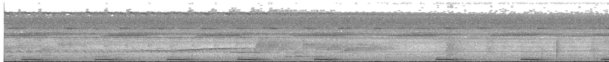 Борнейская воронья кукушка - ML245452561