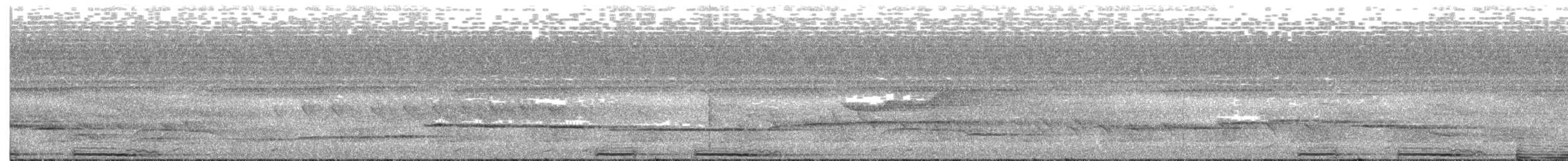 Bornean Ground-Cuckoo - ML245452591