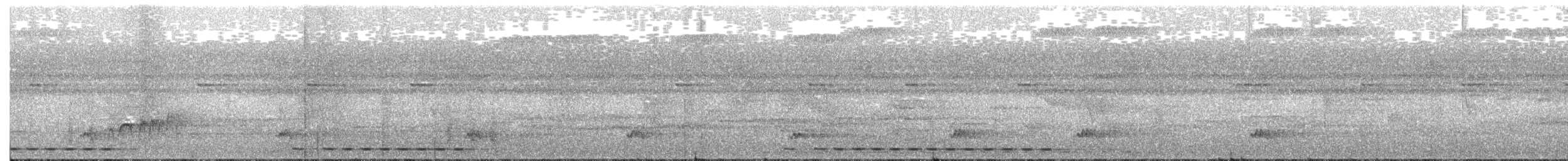Gray-hooded Babbler - ML245459931