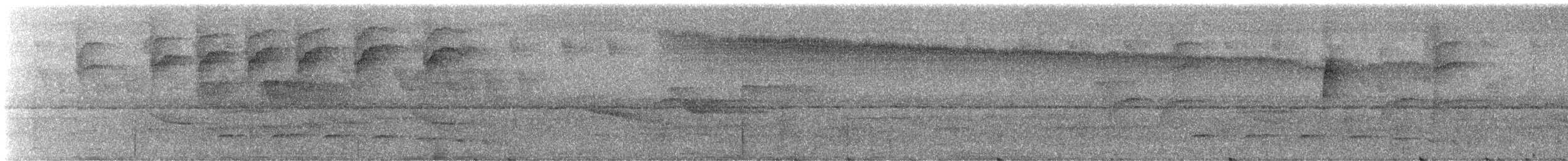 Kara Karınlı Pırıltı (schreibersii) - ML245462