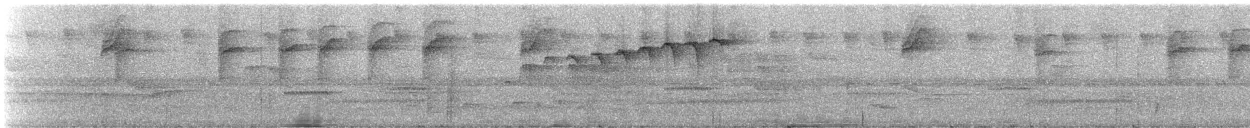 Kara Karınlı Pırıltı (schreibersii) - ML245464