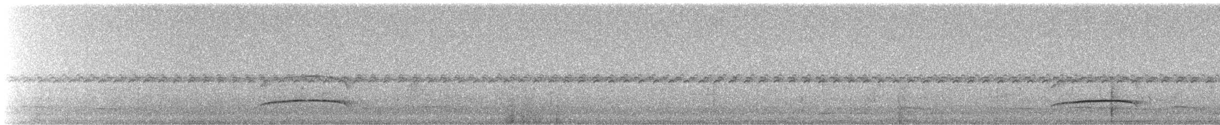 Темноголовый миарх (nigriceps/atriceps) - ML245480