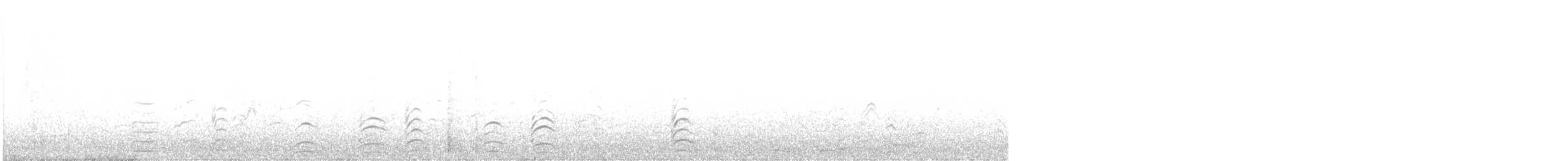 Weißgesicht-Stelzenläufer - ML245494731