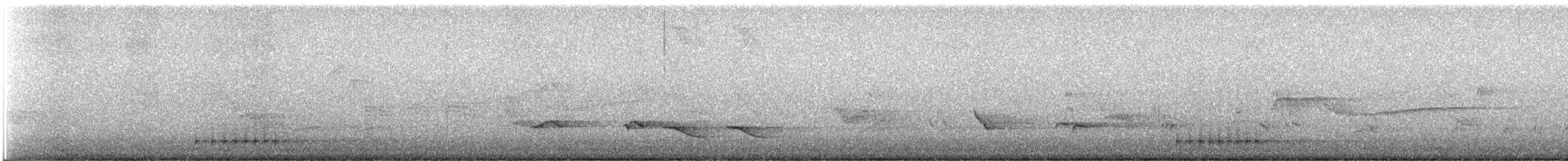 Baltimore Oriole - ML245494961