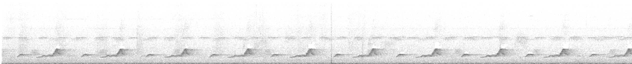 Schwarzkehl-Nachtschwalbe - ML245502181