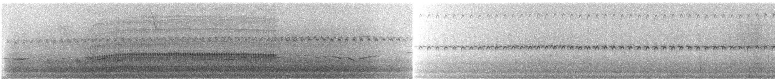 Дятел-смугань оливковокрилий (підвид rubripileus) - ML245510
