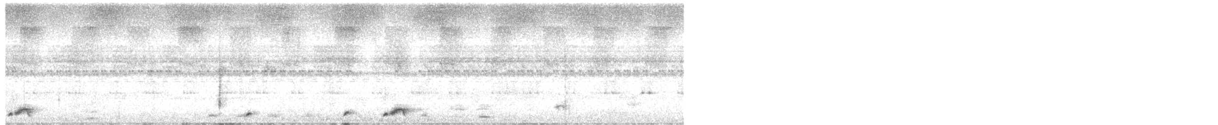 Pauraquenachtschwalbe - ML245523151