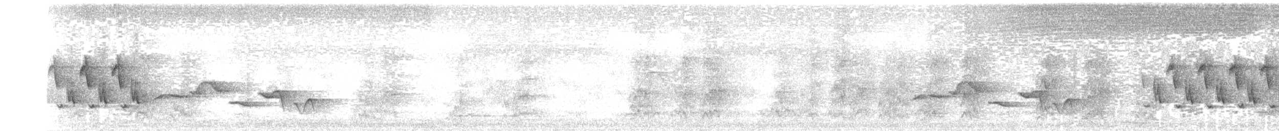 チャバラマユミソサザイ（albinucha／subfulvus） - ML245541691