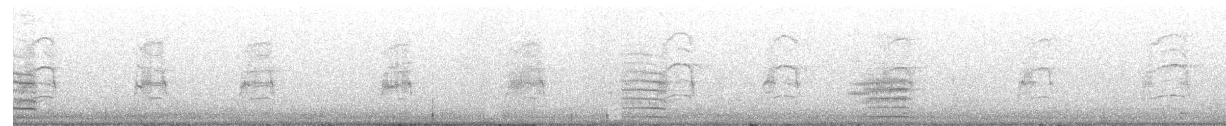 Glossy Black-Cockatoo - ML245576381