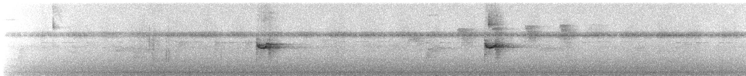 コオニキバシリ（meruloides グループ） - ML245588